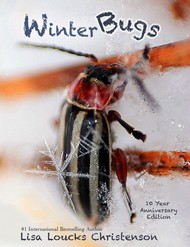 winter_bugs